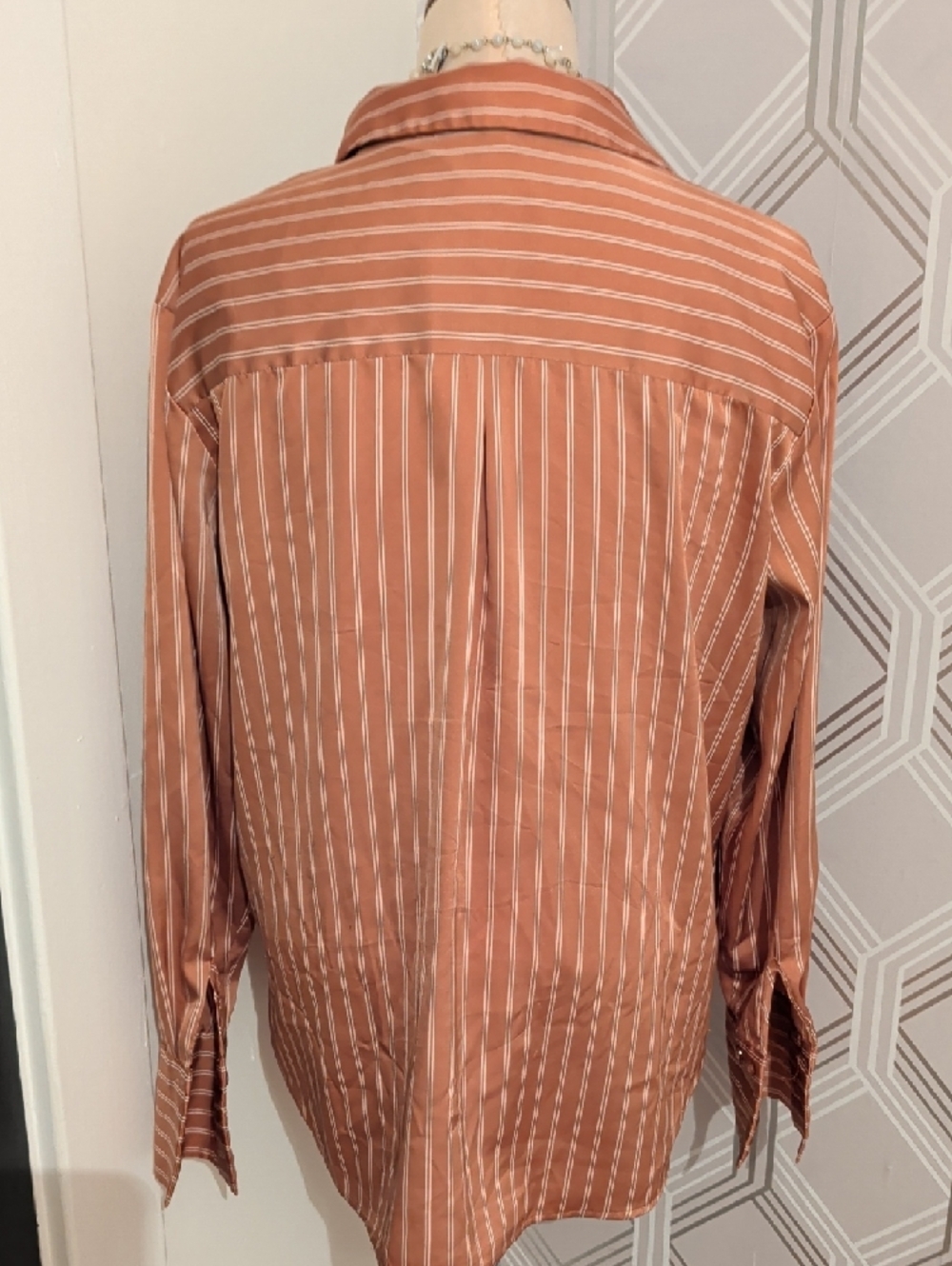 Women's Rust Striped Button-Up Blouse - Picture 5 of 8